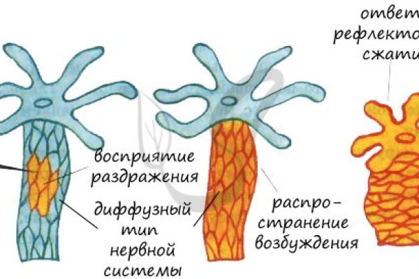 Омг сайт даркнет